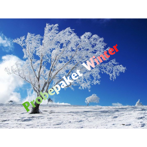 Probepaket Winter